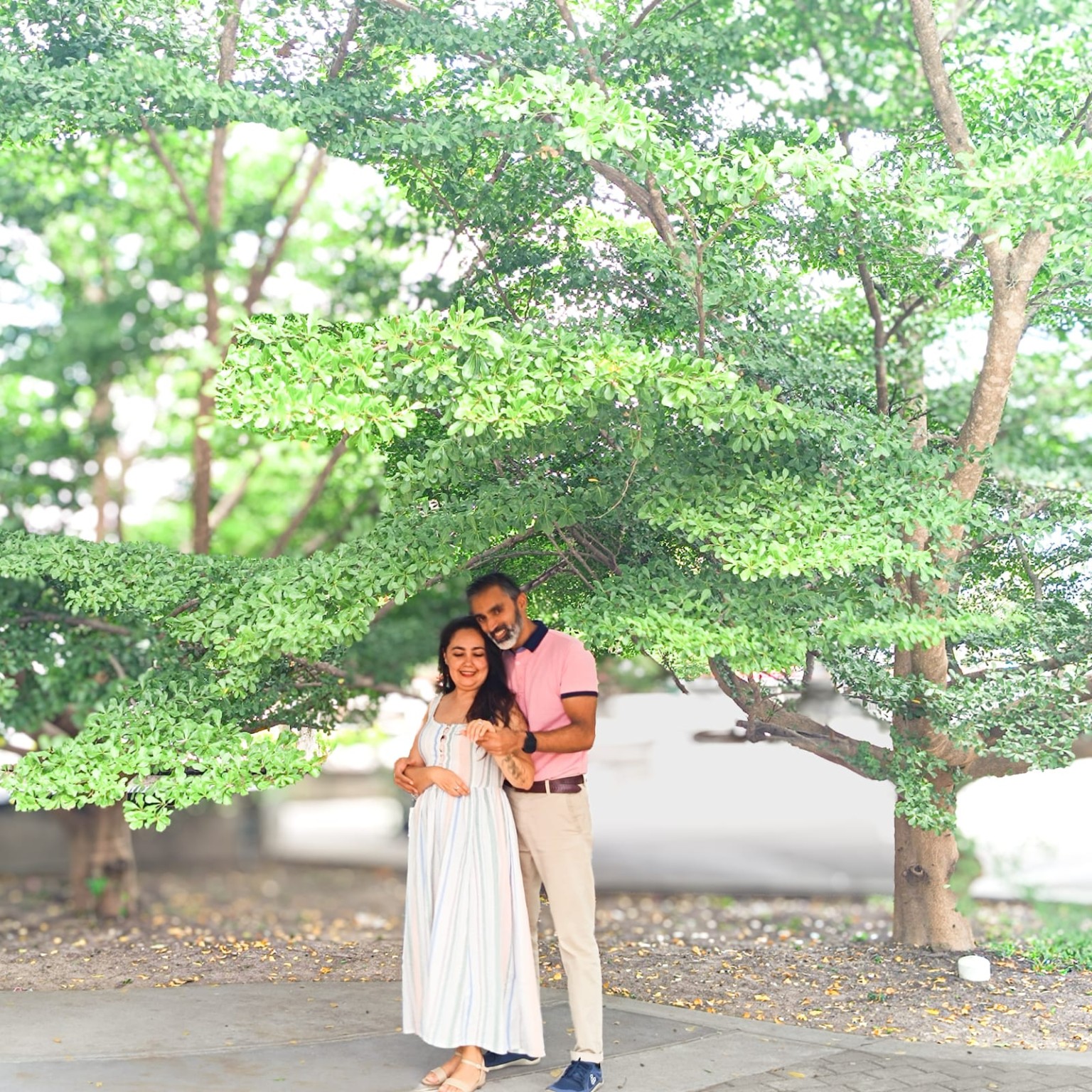 La pareja bajo un árbol